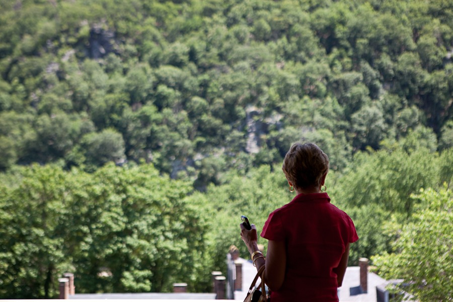 the back of woman in a red shirt holding a cell phone as she looks at a landscape of green trees