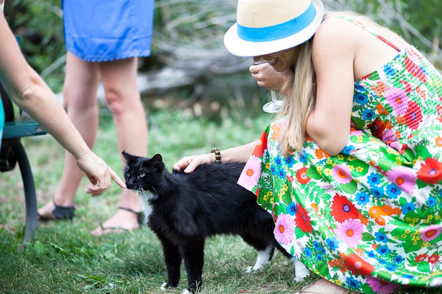 a woman in a flowery dress pets a black cat on a green lawn