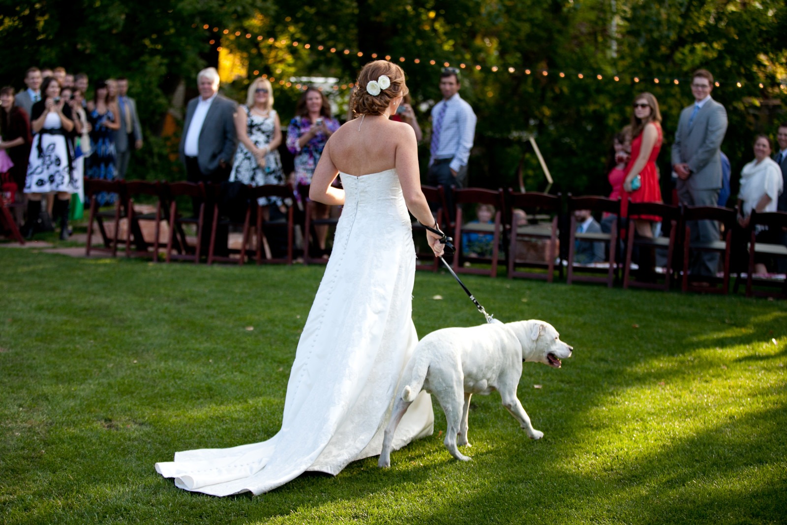 a white dog walks down a grassy aisle with a bride