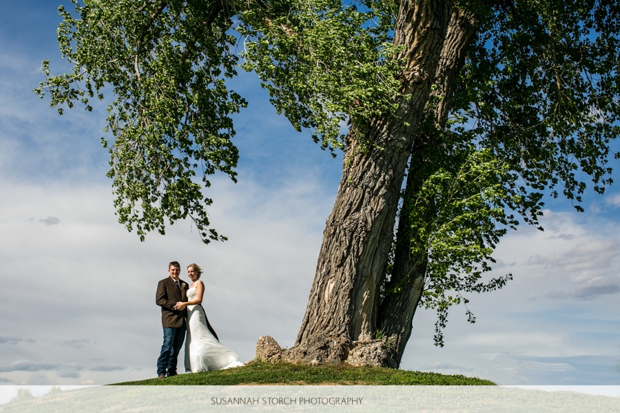 a bride and a groom in blue jeans stand under a big tree in front of clouds