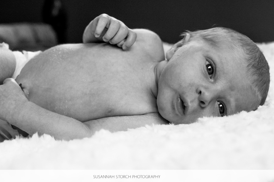 longmont-newborn-photography-0009-db10