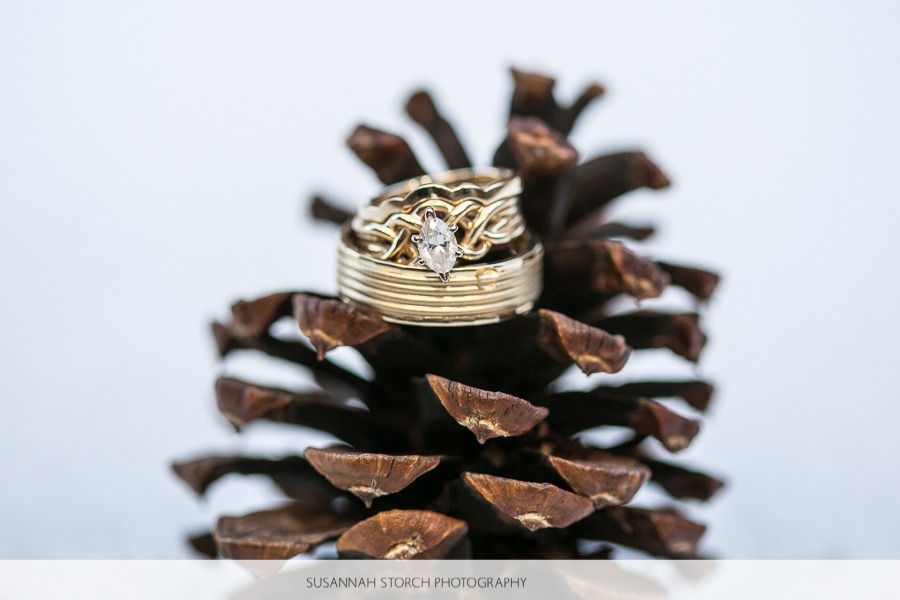 two rings sit on a pinecone