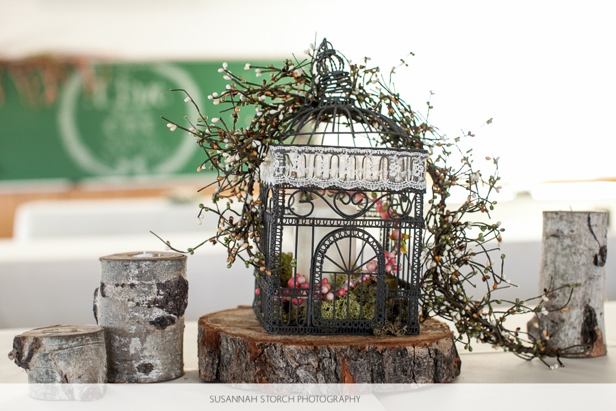 a birdcage is decorated in vines on a table next to aspen tree trunks