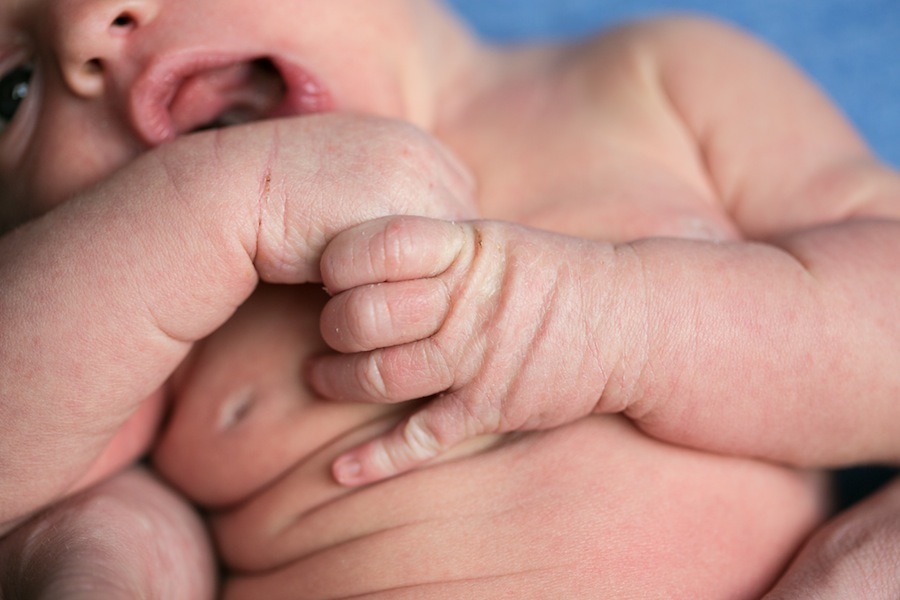 a newborn baby grasps his own fingers