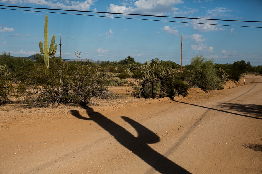 blue skies, cacti, and shadows on a dirt road