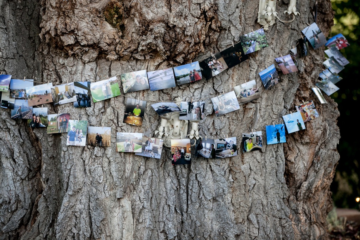 photos hang from string in front of an big old tree trunk