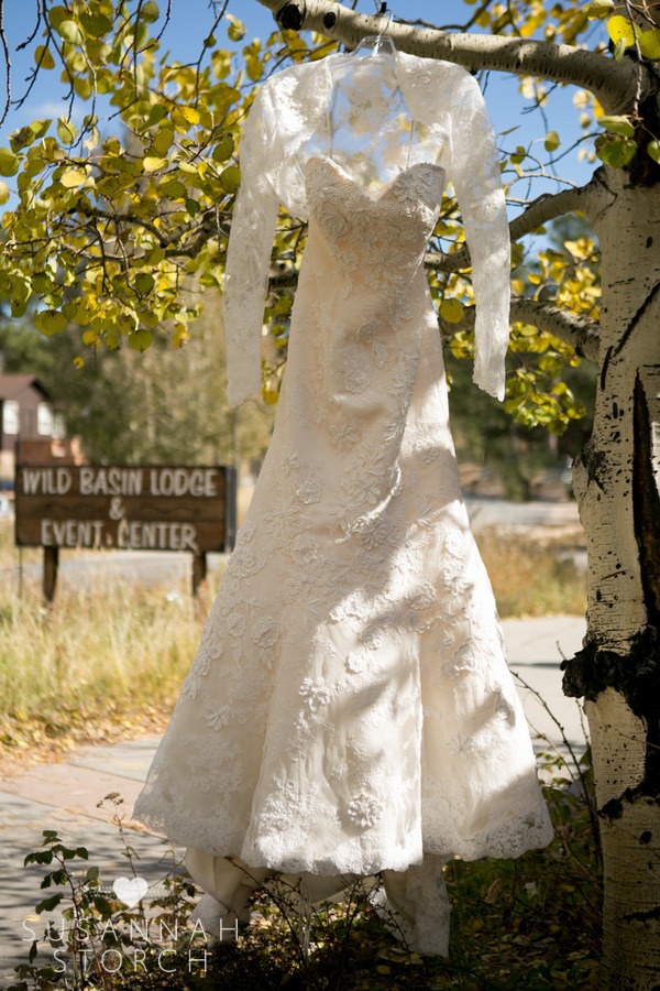 a wedding dress hangs from an aspen tree