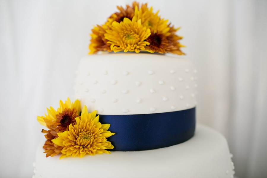 white dots decorate a white cake