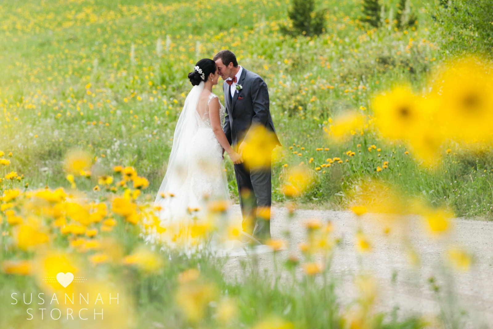 yellow flowers surround a kissing wedding couple