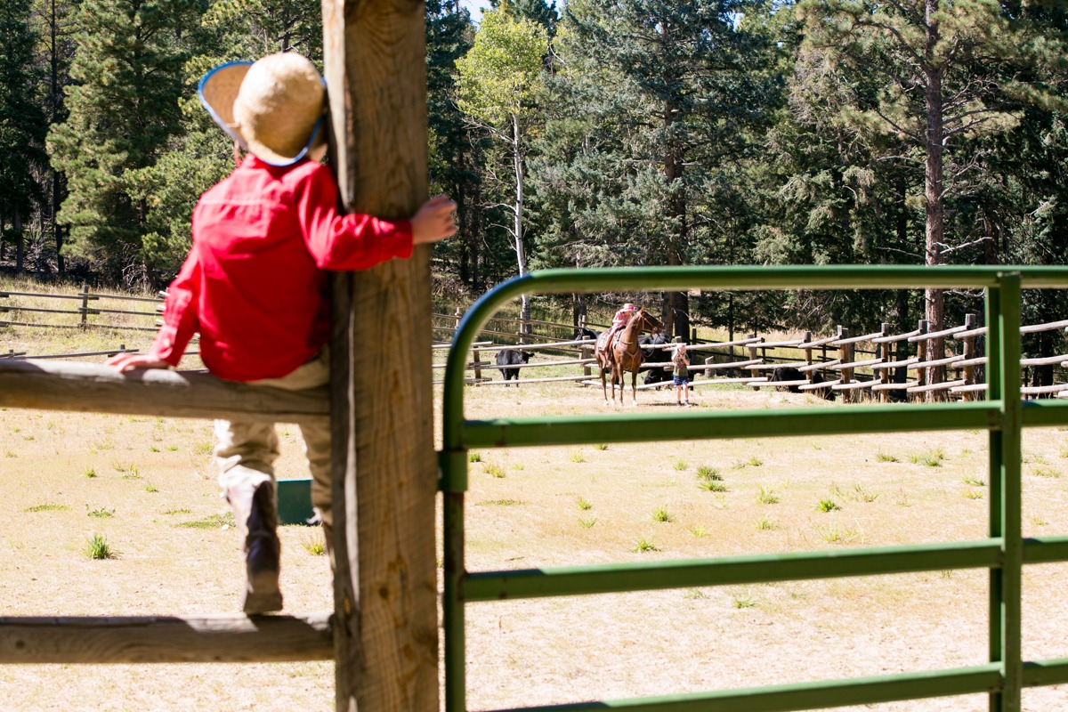 a boy in a red shirt sits on a fence of a horse corral
