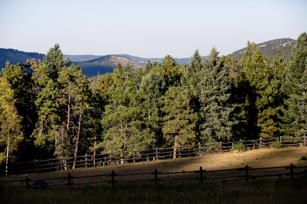 views from a private ranch in evergreen, colorado