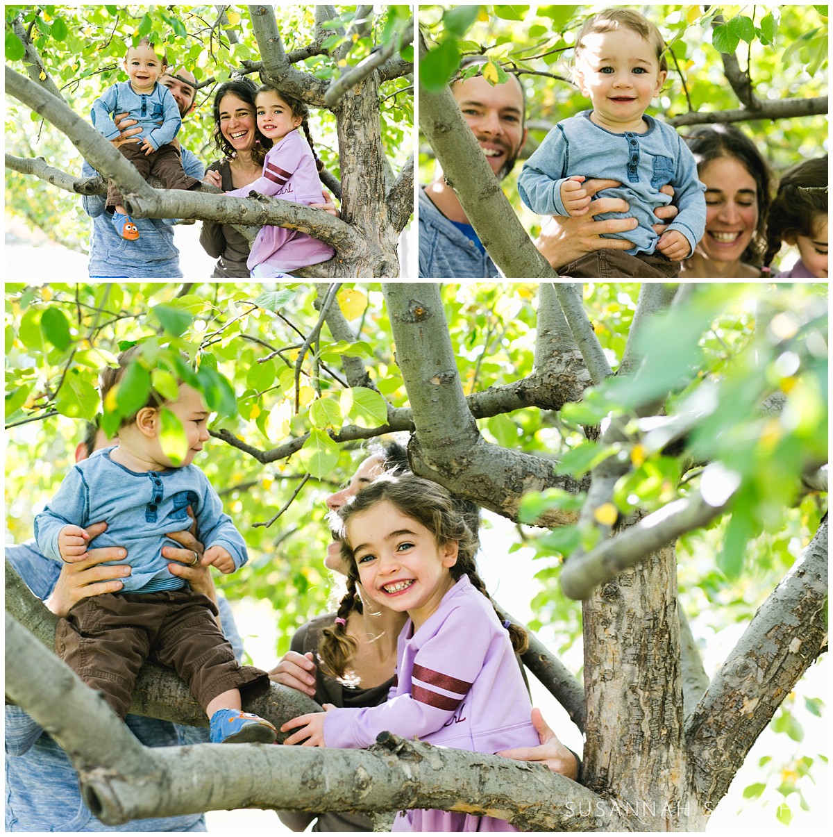 a family hangs out and plays in a tree