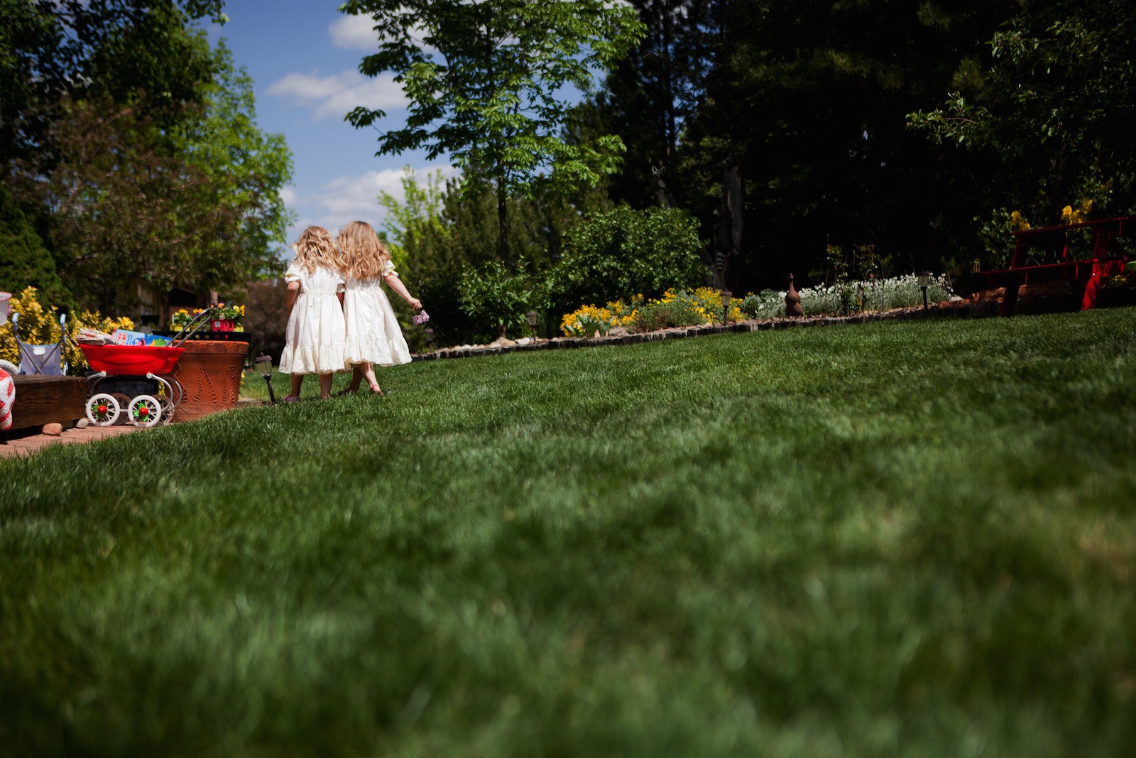 Colorado family photography of cousins walking through a Gunbarrel backyard