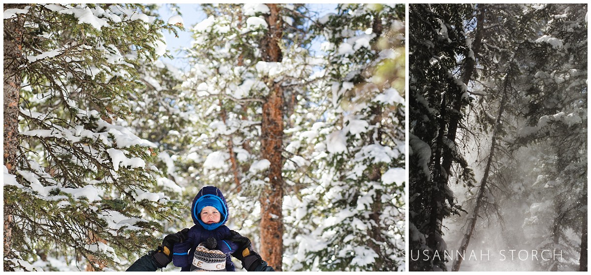 a dad carries his son on his shoulders and is surrounded by snowy pine trees