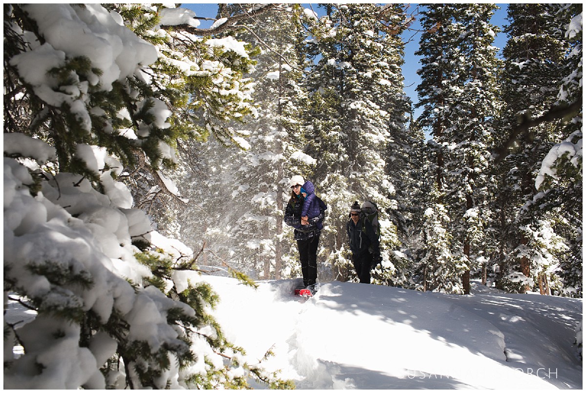 a family trudge along in snowshoes in a pine forest