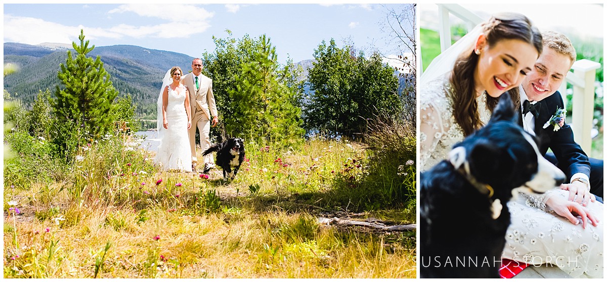 colorado-dogs-at-wedding-9
