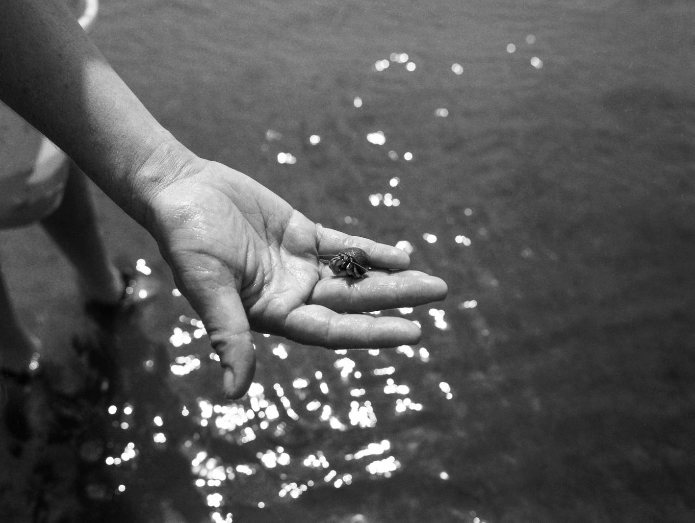 black and white film scan of a hand holding a hermit crab above water