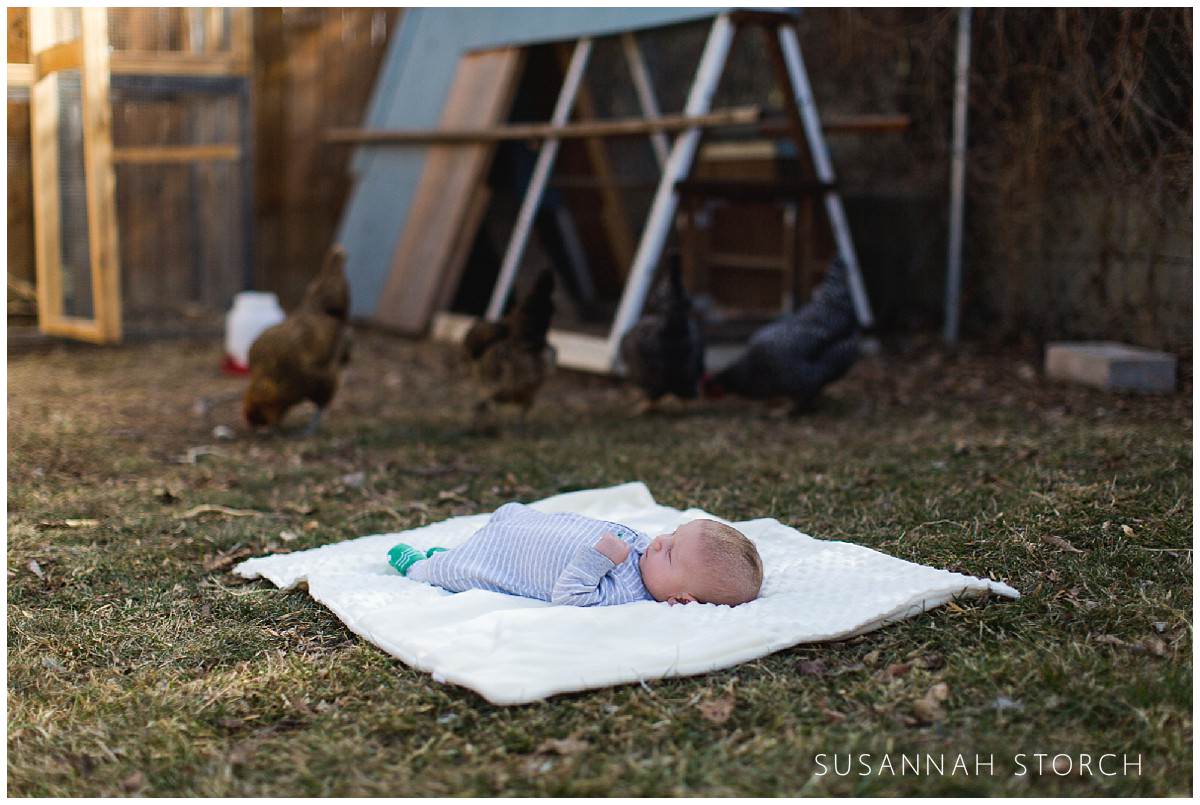 a baby lies on a blanket in the grass near pecking chickens