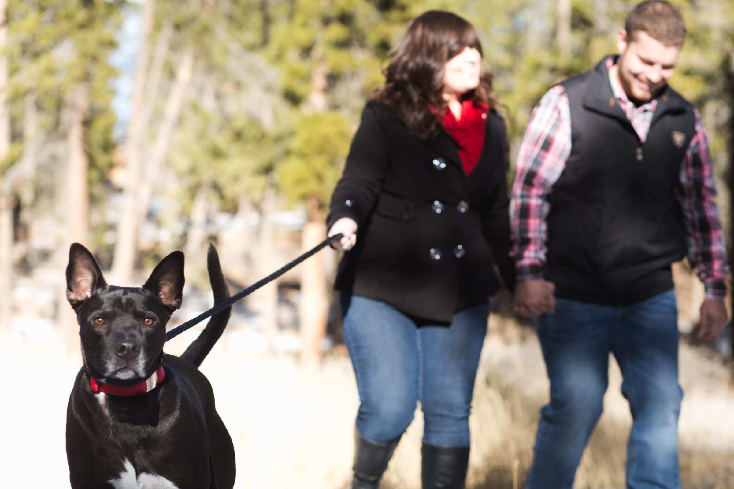 a couple walks a dog during a winter photo shoot