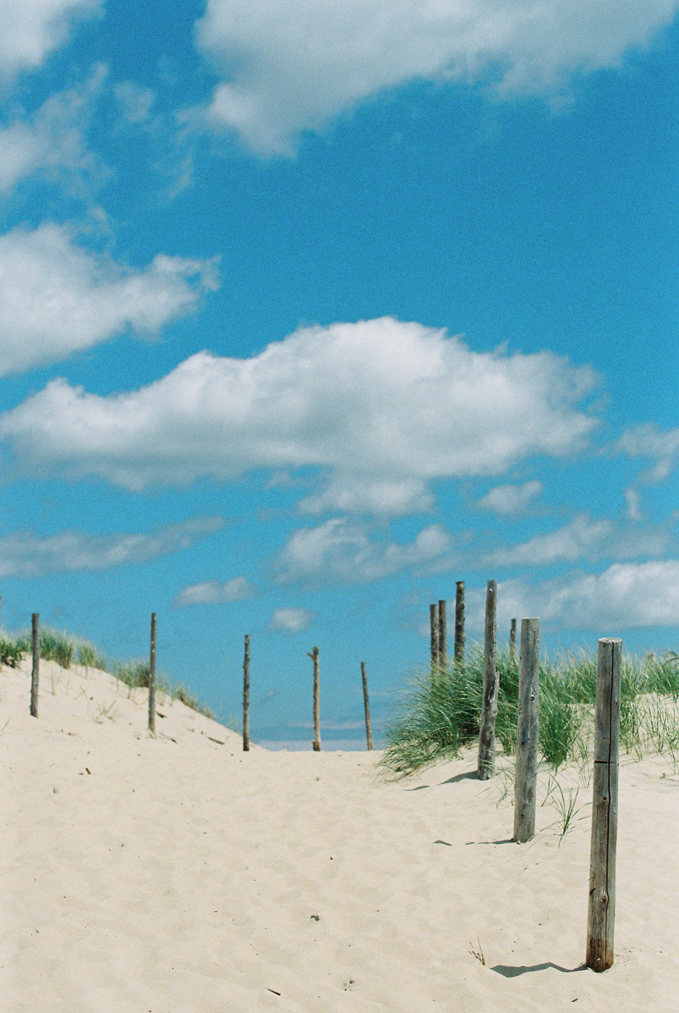 sand, grass, blue sky