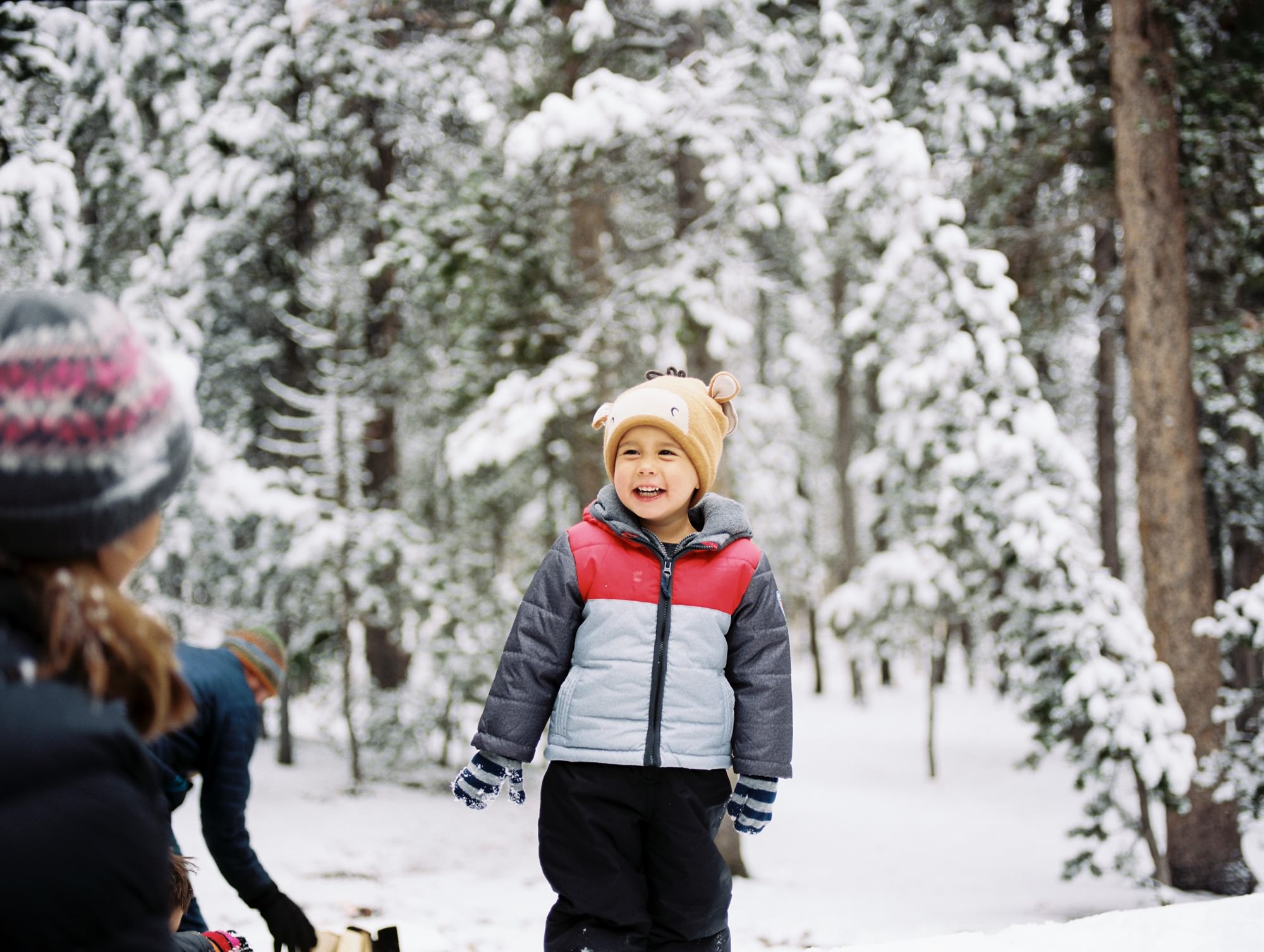 a young boy stands in snow as he gets professional family photos taken