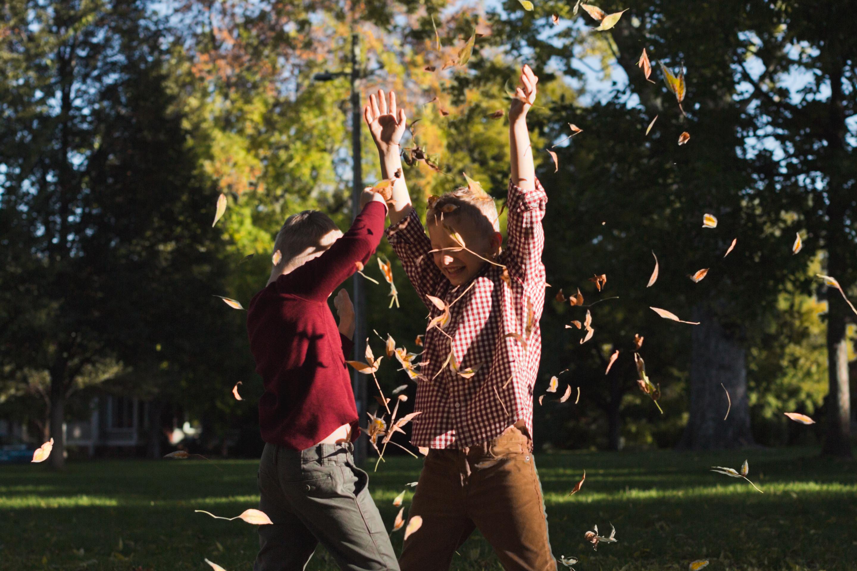 brothers throw fall leaves into the air