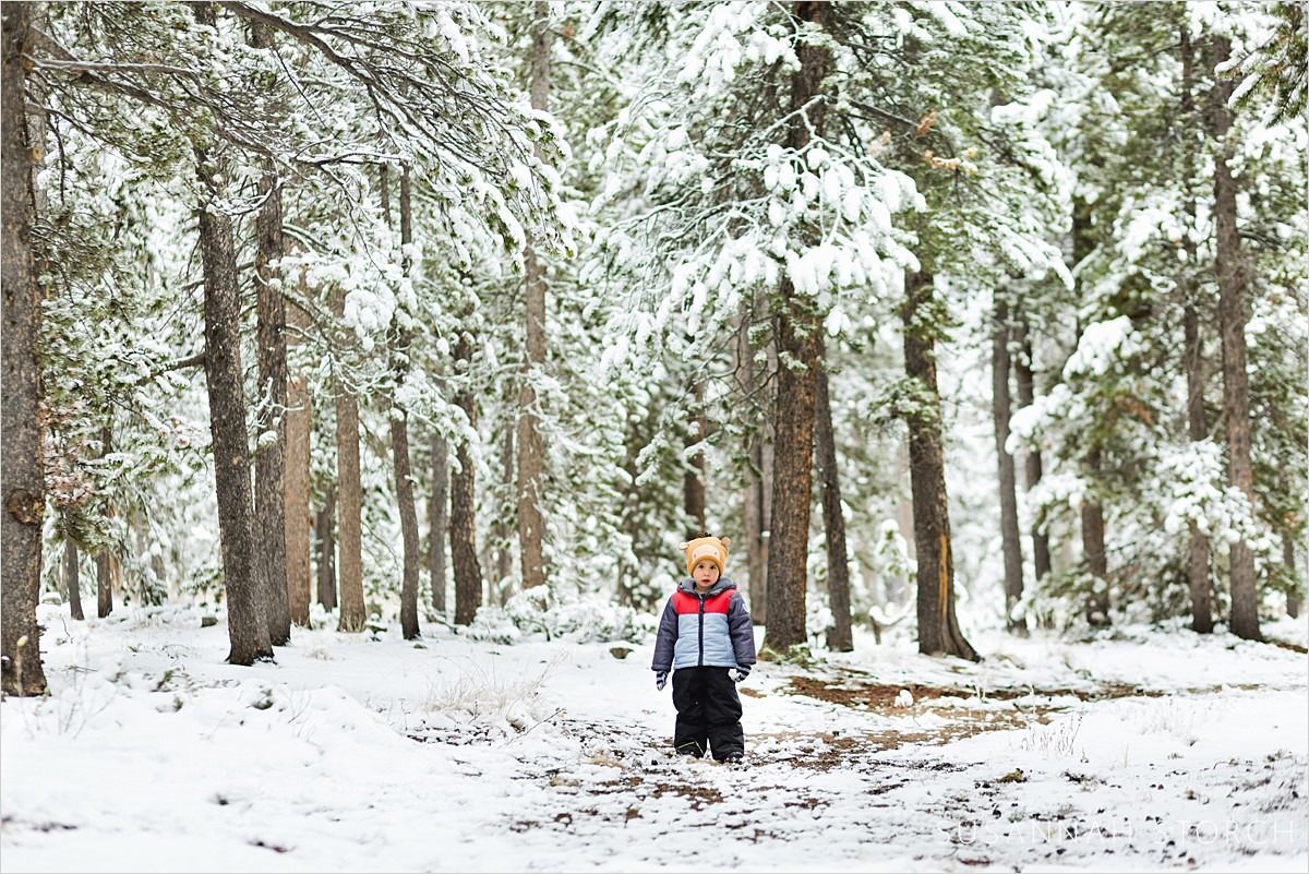 boy stands under snowy trees