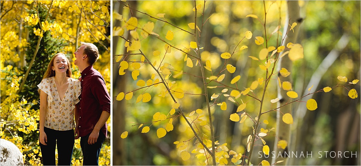 two images of aspen trees--one has a couple in love in it