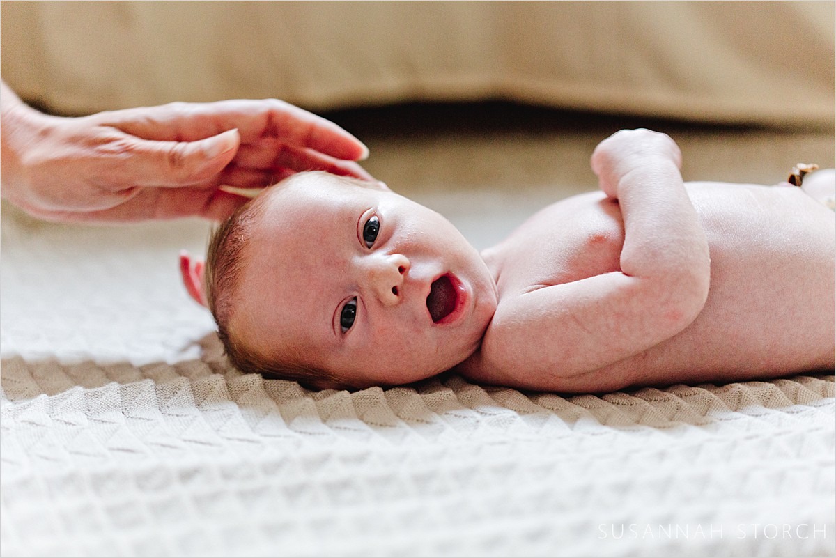 denver in home newborn photo of wide awake baby boy