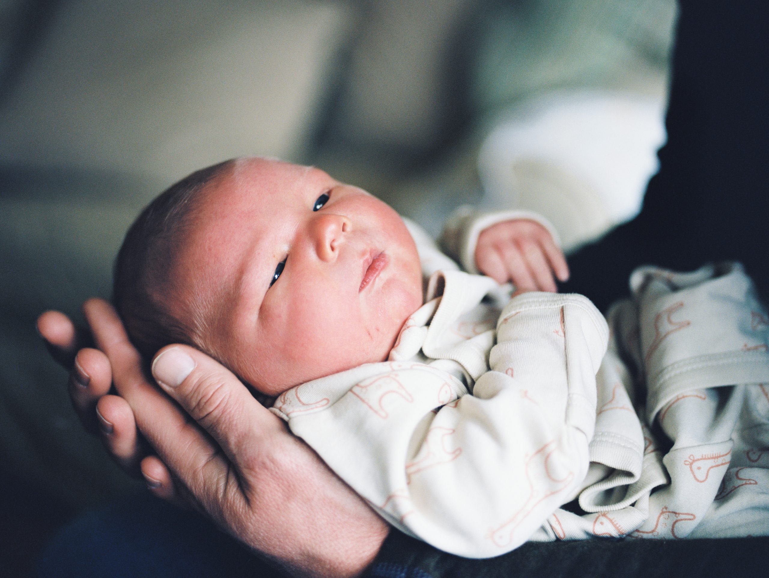 Why you should consider booking newborn photography sessions - blog post