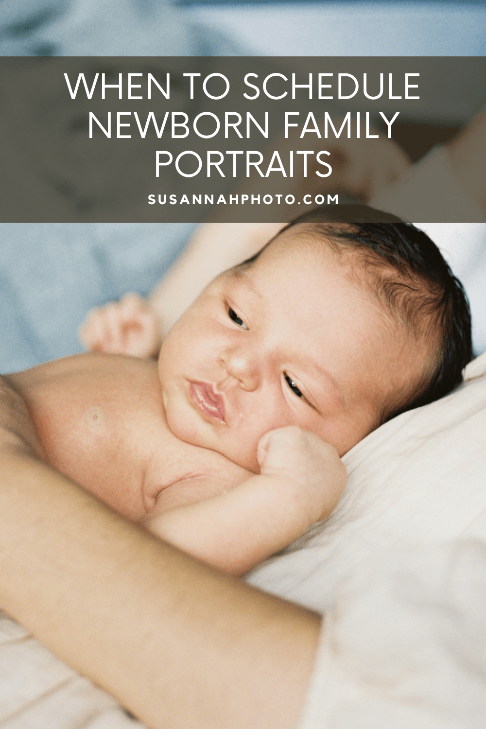 cute newborn baby in mom's arms with text over image that reads "When to schedule newborn family portraits."