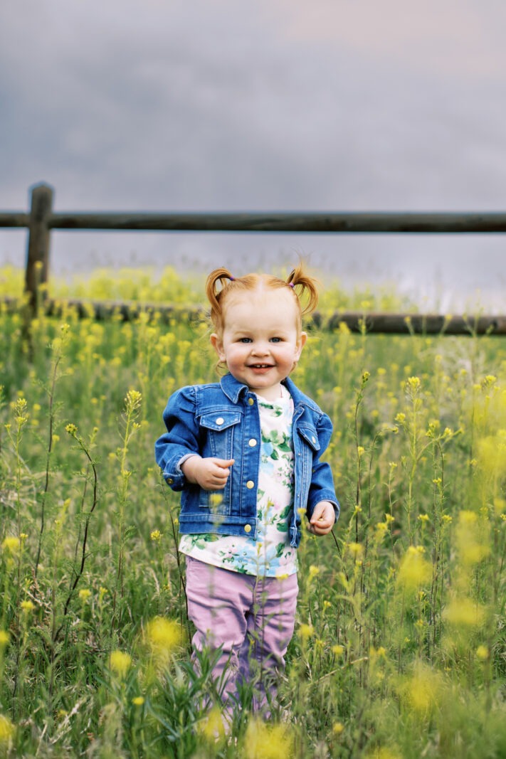 a toddler girl with pigtails stands in front of tall yellow wildflowers and a fence, used as an image for 2024 fall mini session ad