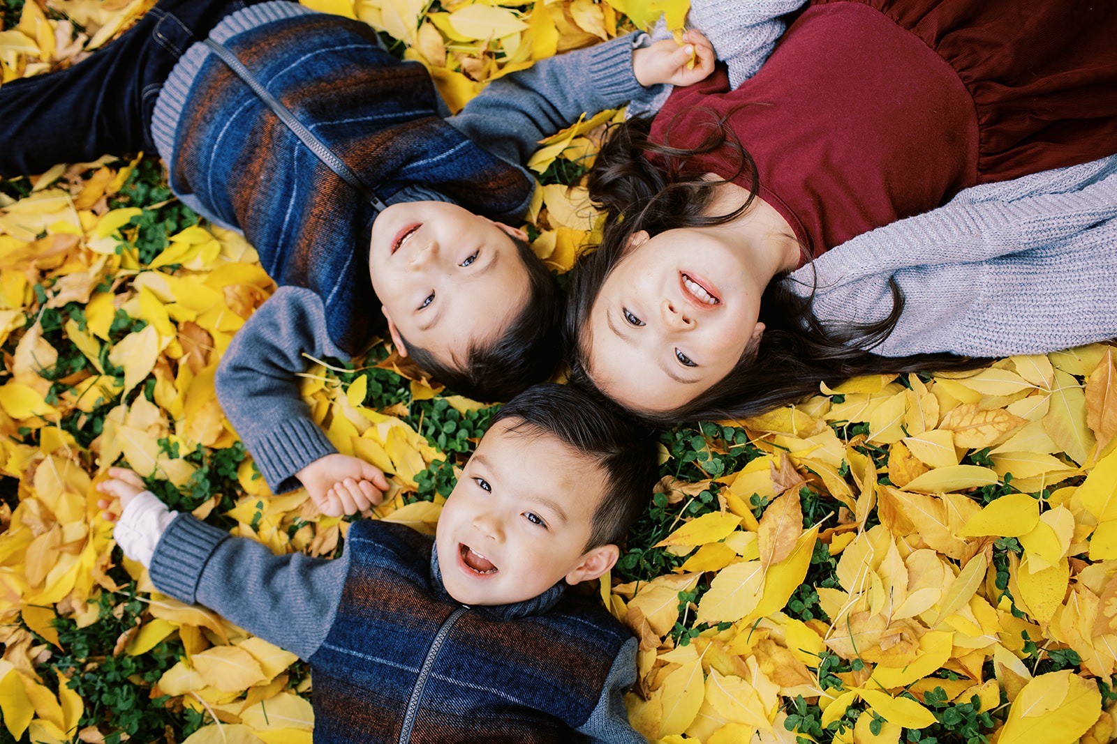 longmont colorado fall photography session with golden leaves and siblings