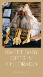 Two stuffed animal chickens displayed inside Adornables, a woman-owned baby boutique in Old Town Longmont, Colorado, offering sustainable toys and thoughtful gifts for local families.